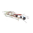 Saeco 421946046271 Wiring Classic Assembly 100-120V V2